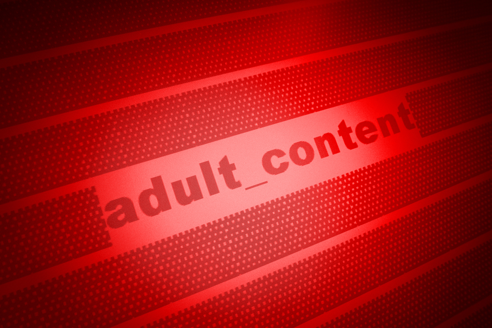 Can DMCA.com remove stolen adult or pornographic content?